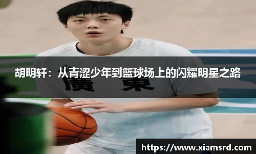 yy易游体育官方网站