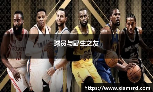 yy易游体育官方网站