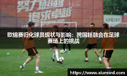 欧锦赛归化球员现状与影响：跨国籍融合在足球赛场上的挑战